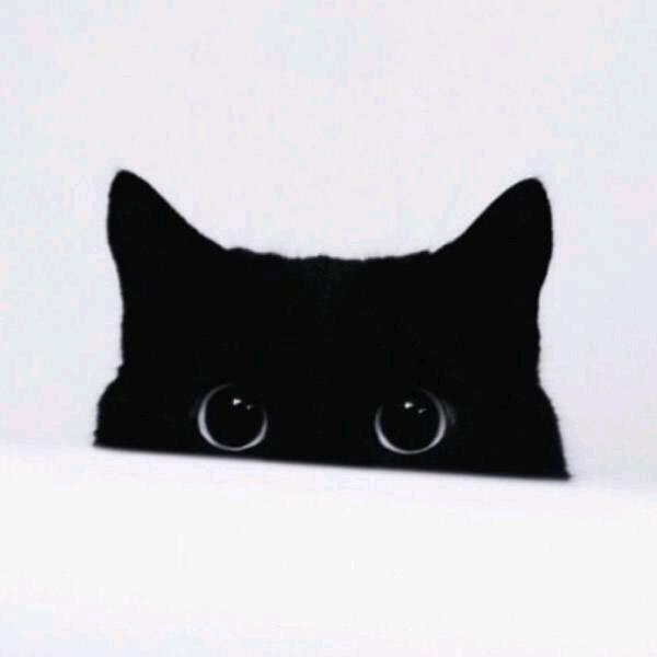 🍙北之✨꯭S꯭ᴛ꯭ᴀ꯭ʀ꯭s꯭