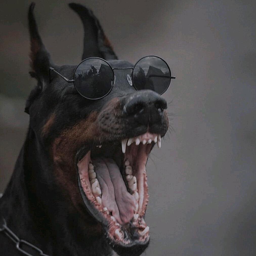 ～生活呀、努力呀。