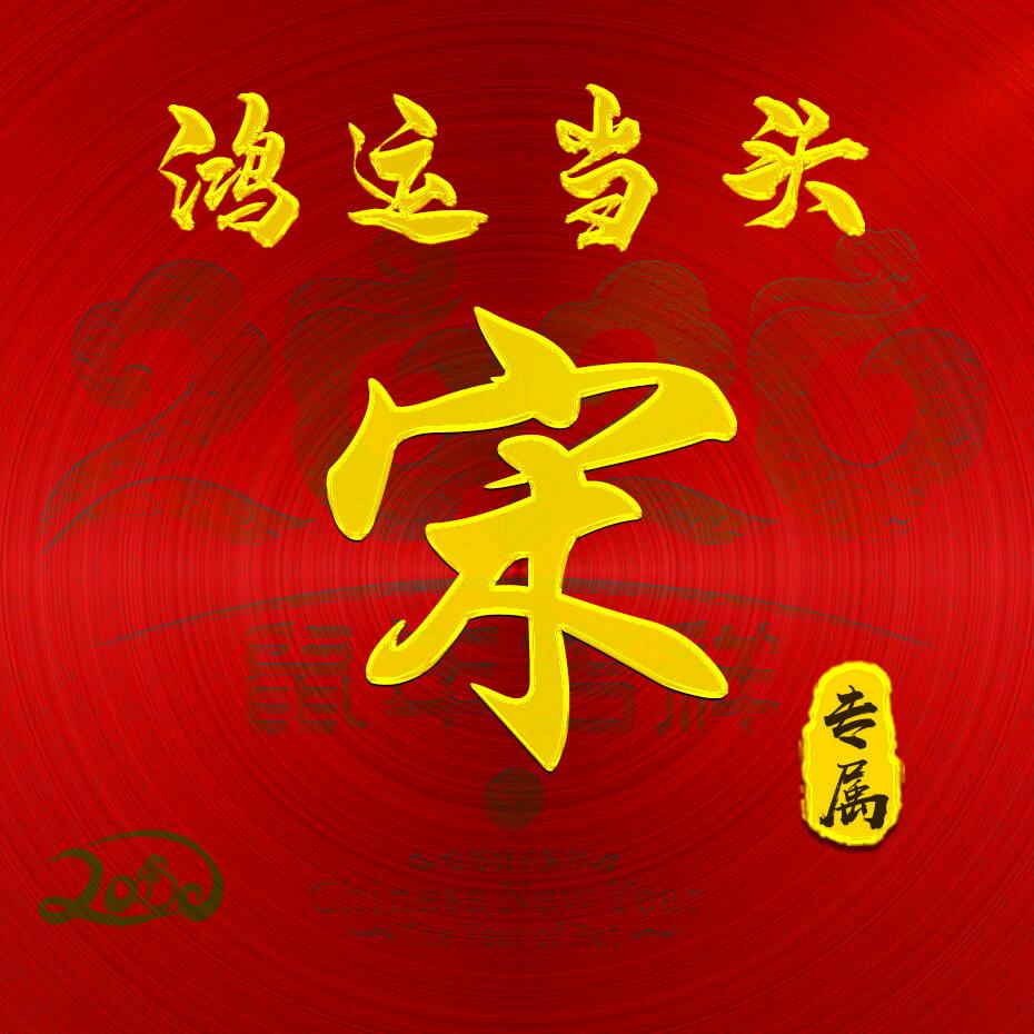 宋维阳头像