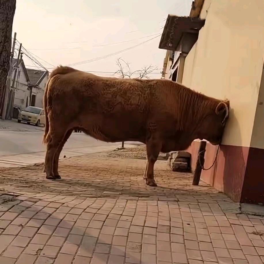 🌈隔壁王🌈🌈🌈