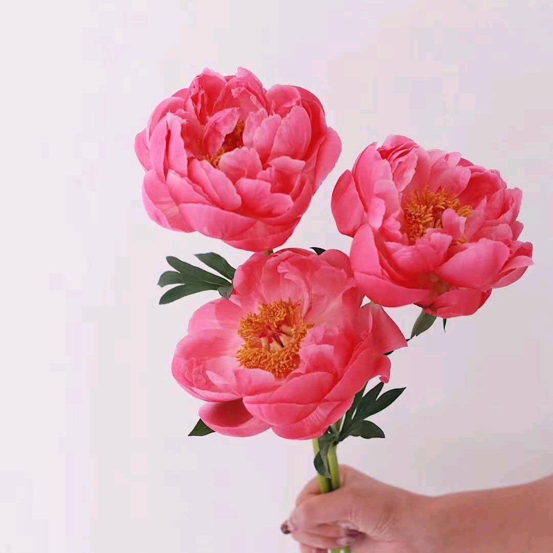 银子来啦🍬🍡🍭🍧