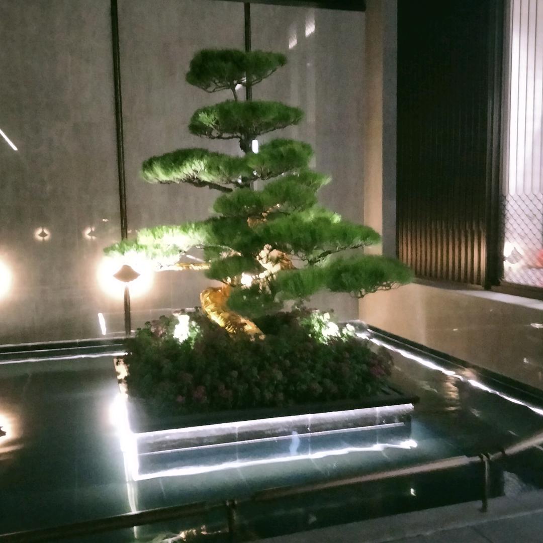 5143708722786抖音号