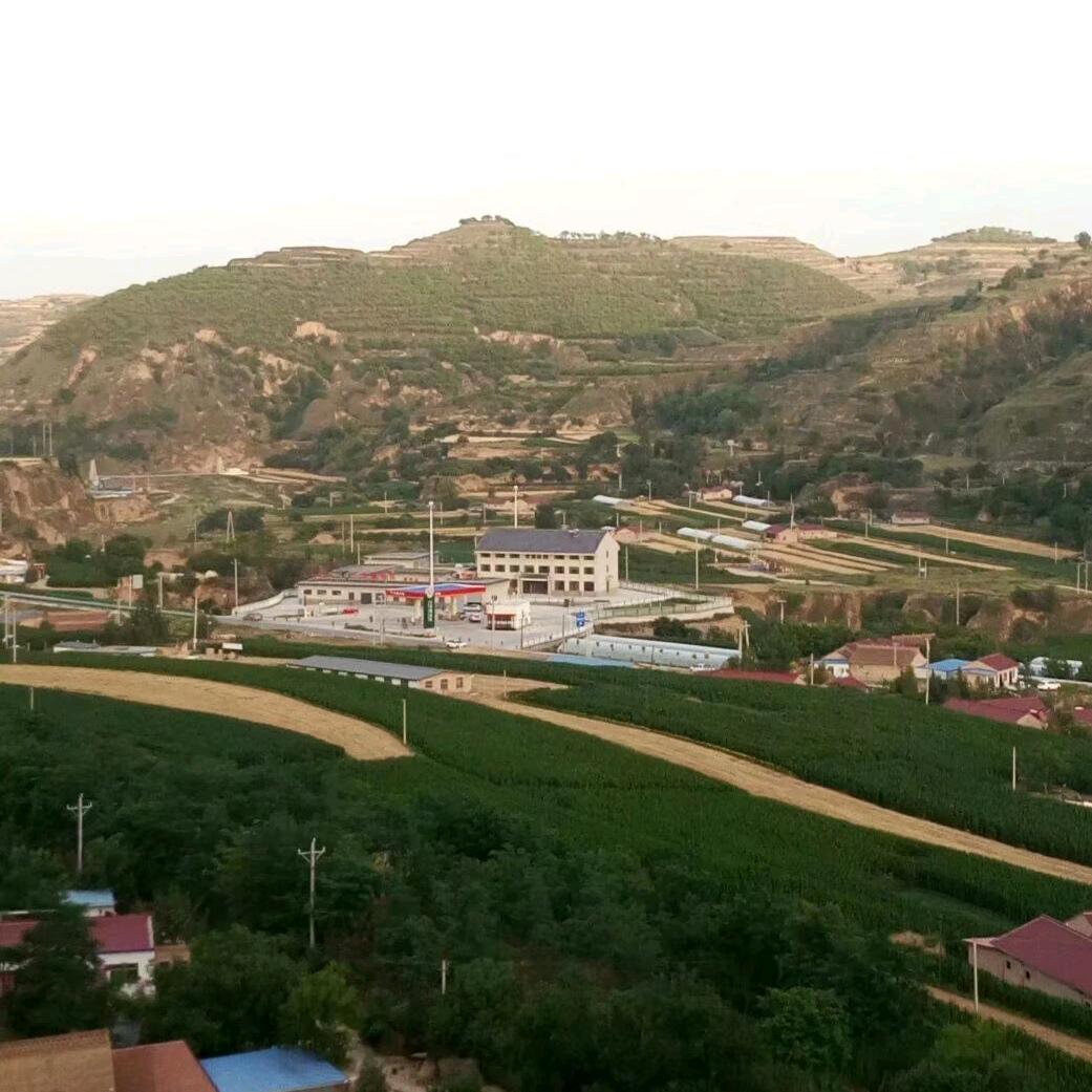 飘洋过海我来看你🇨🇳