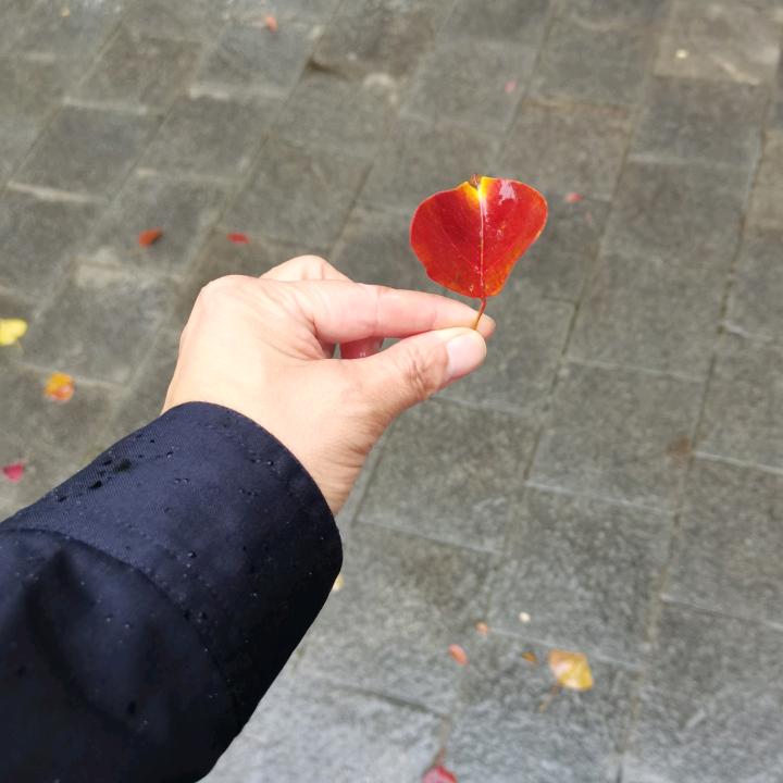 不为往事忧