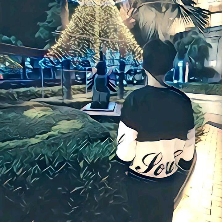 哥伦比亚的梦幻之影