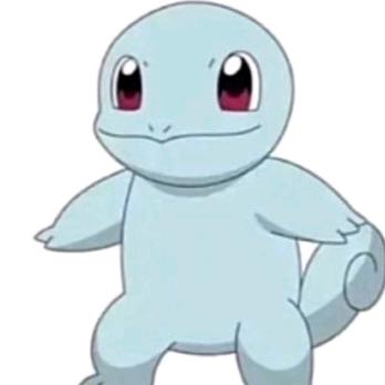 杰尼杰尼🐢