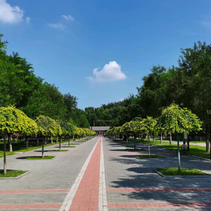 ✨🕊꧔ꦿ᭄💞笑🕊꧔ꦿ᭄💞✨