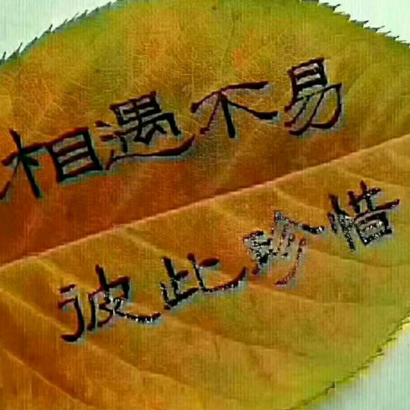 格劳宾登