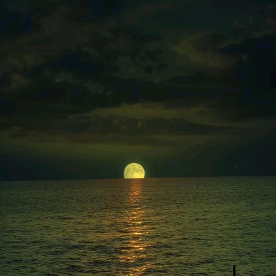 ♞人海
