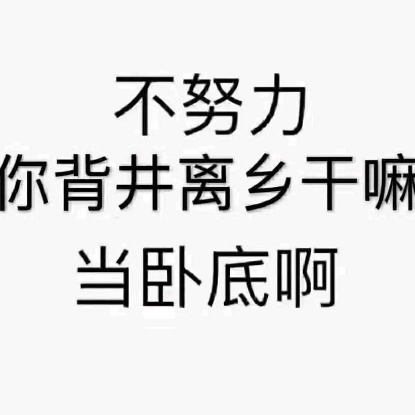 90082628努力的牛马