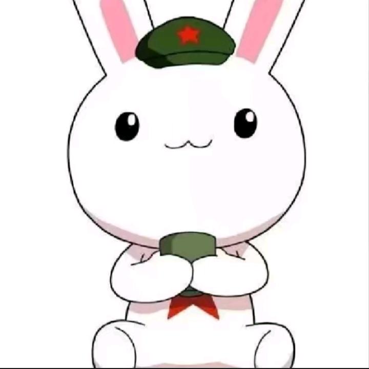 红星照耀理想