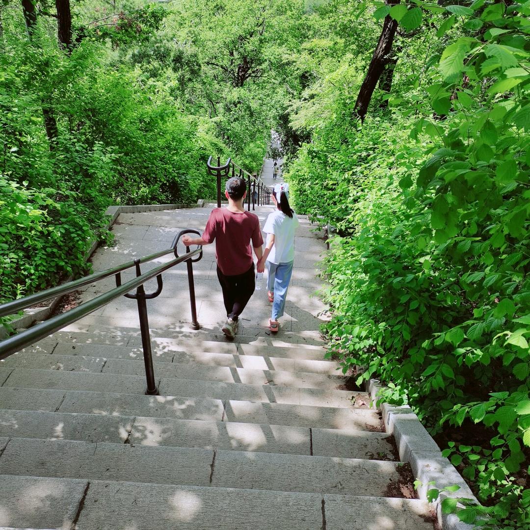 上仙收了神通吧