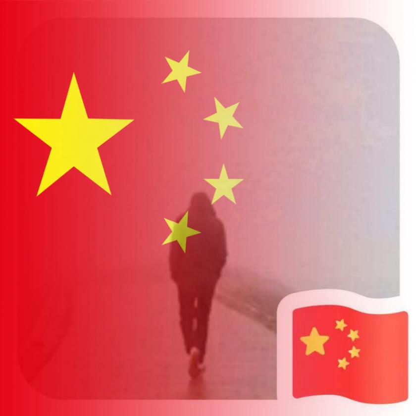 翼