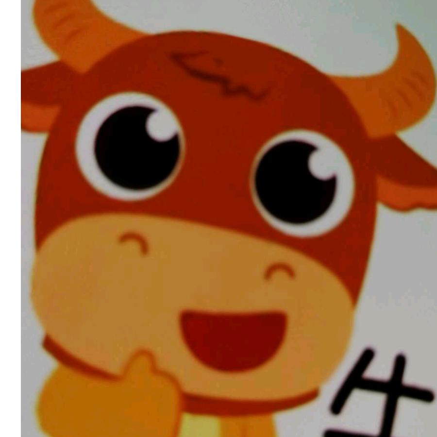 红牛