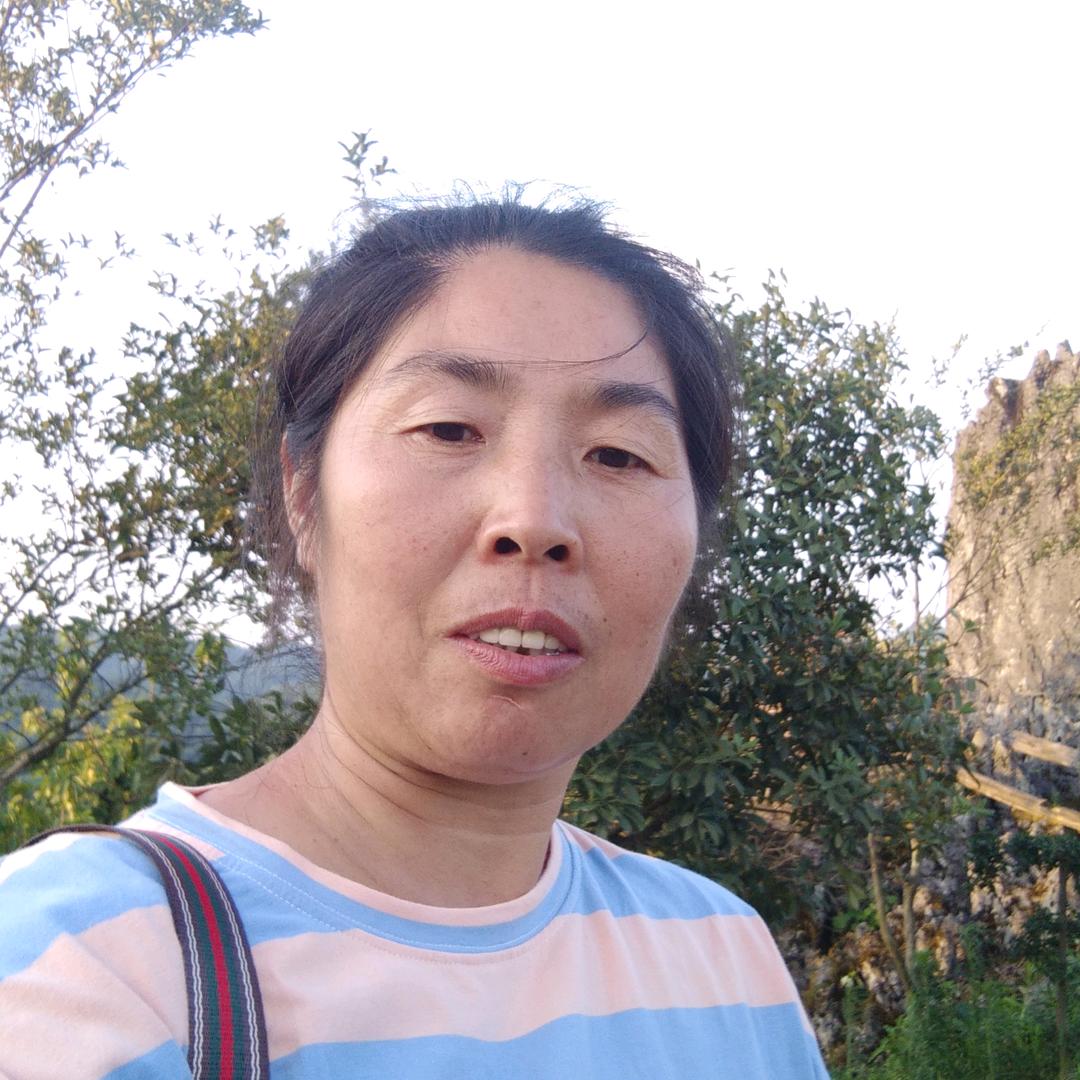 陈朝慧