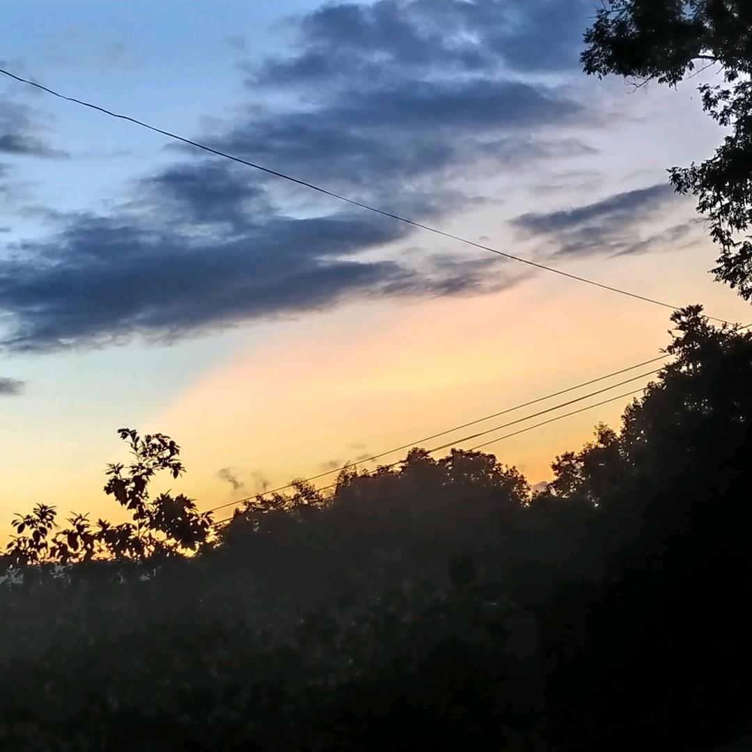 萧秋水