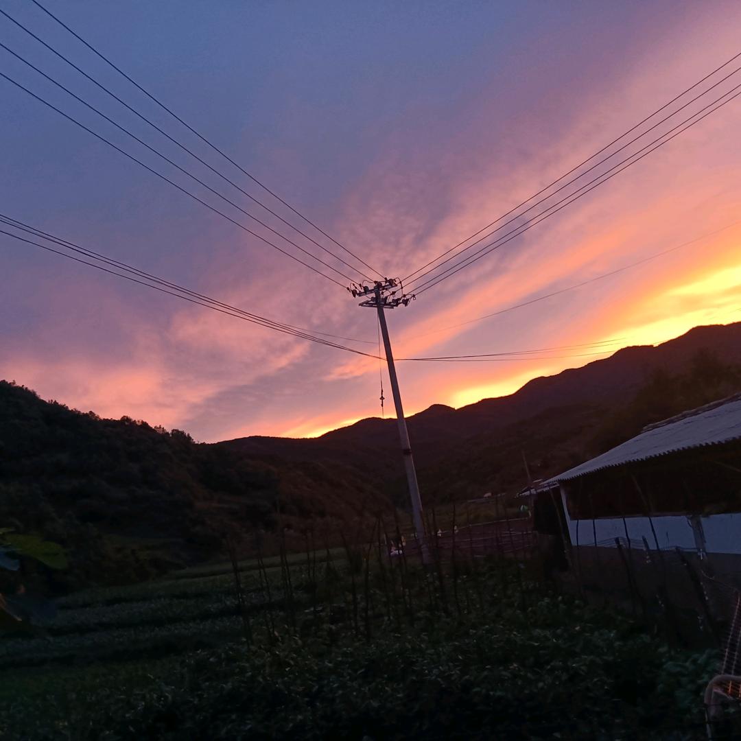 黄瓜上的血迹