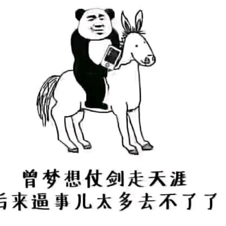 最美遇见你