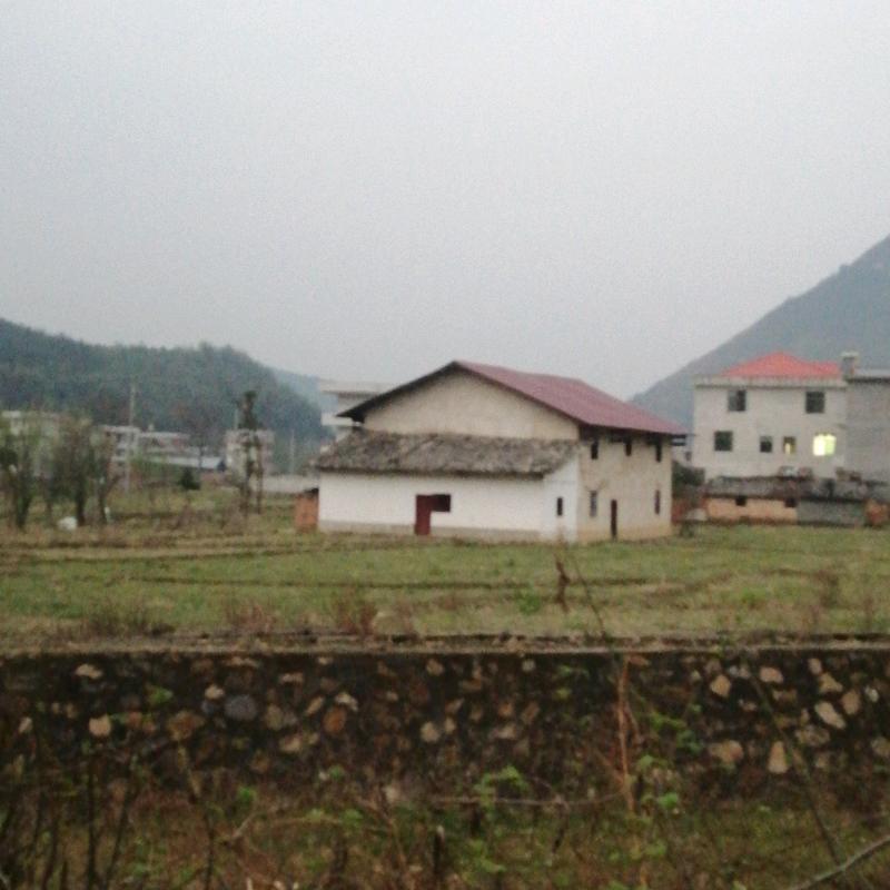 四生
