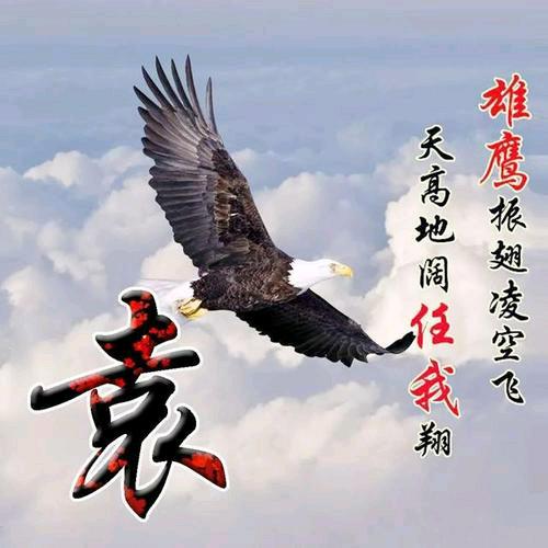 风萧萧兮易水寒