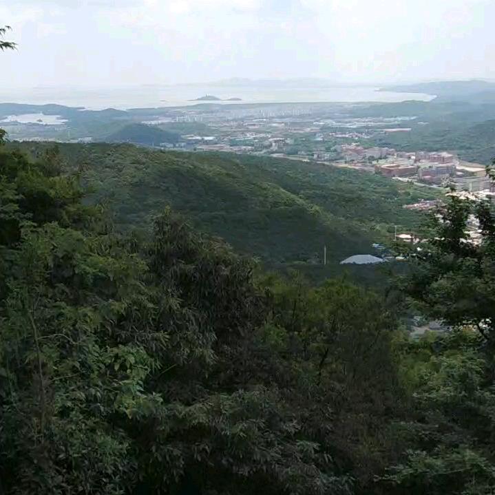 世间万物