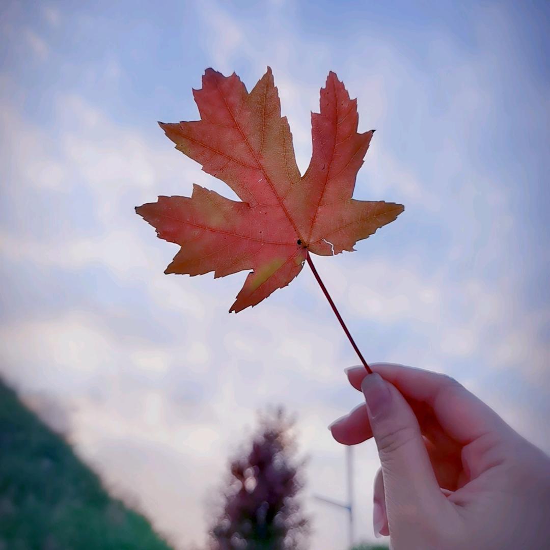 简单小幸福🧚‍♂️🧚‍♀️