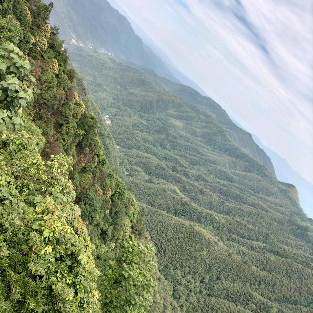 小马哥