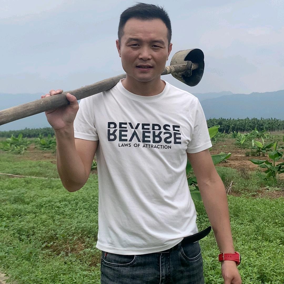 劲哥金鸡