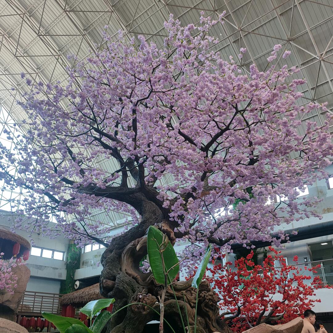 悠悠闲闲