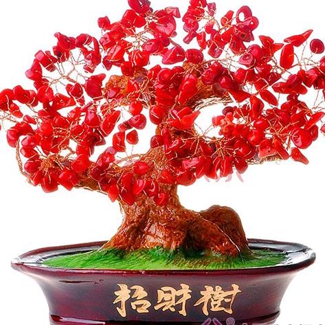 九月红