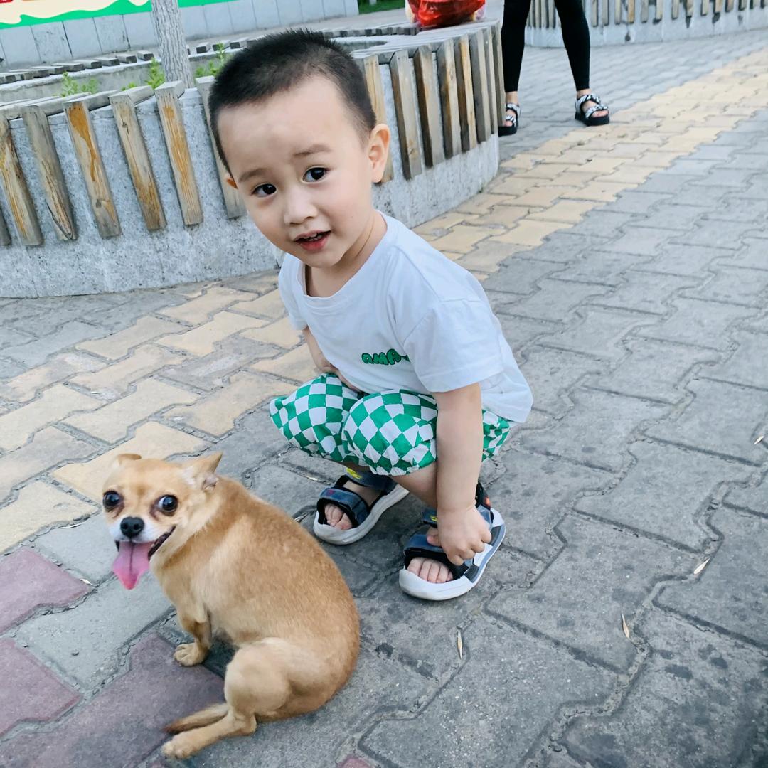 感恩之心6568874753980小美