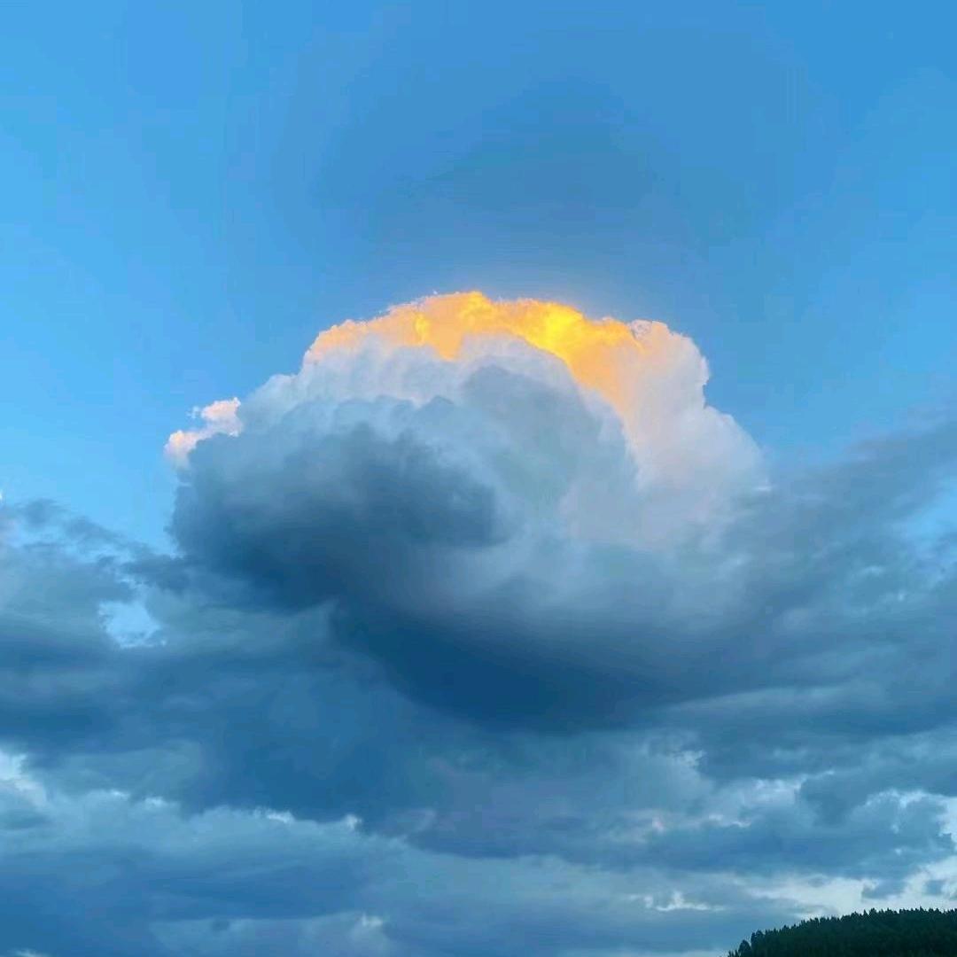 宝来顺  网桁架