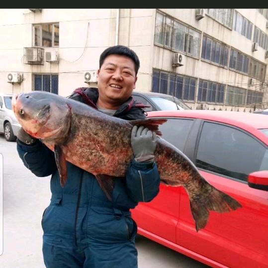 刘浩战神牛小子