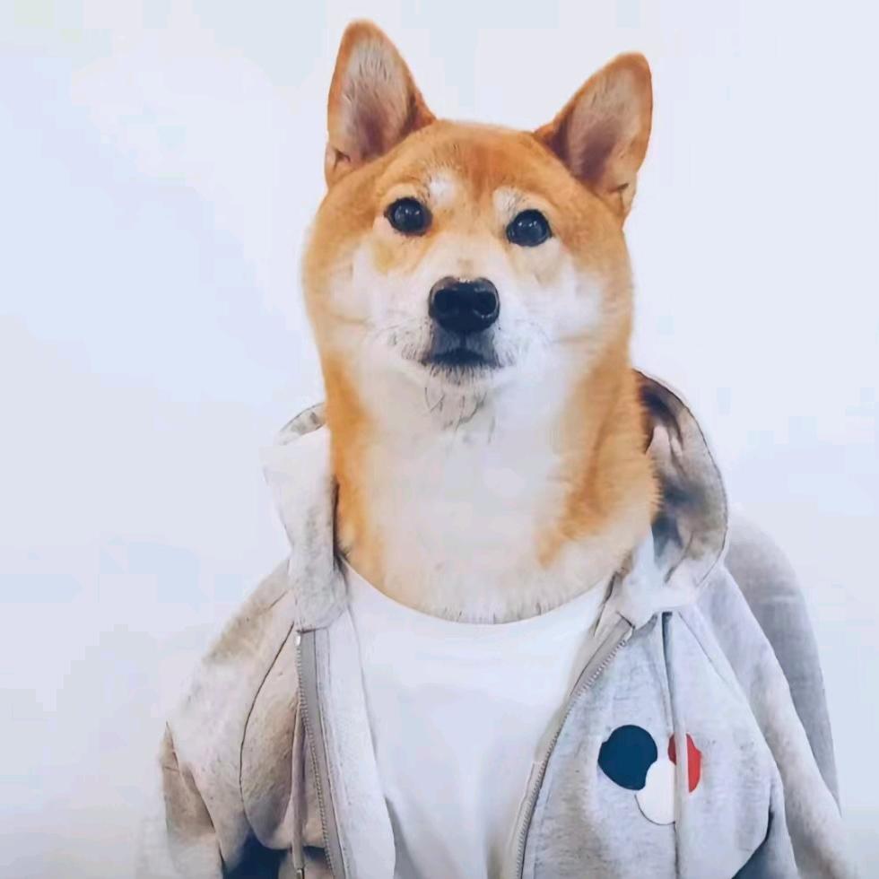爿弋