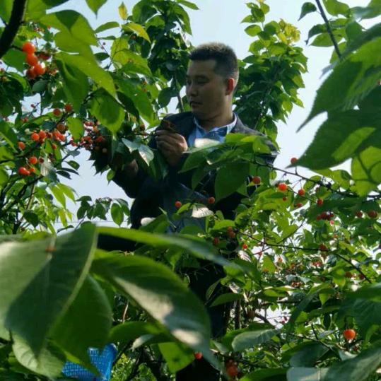 不是你的菜请别揭锅盖