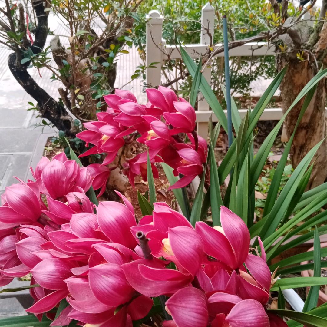 玉仙，热爱生活，喜欢唱歌跳舞