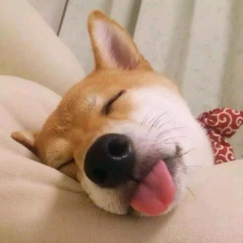 小张.