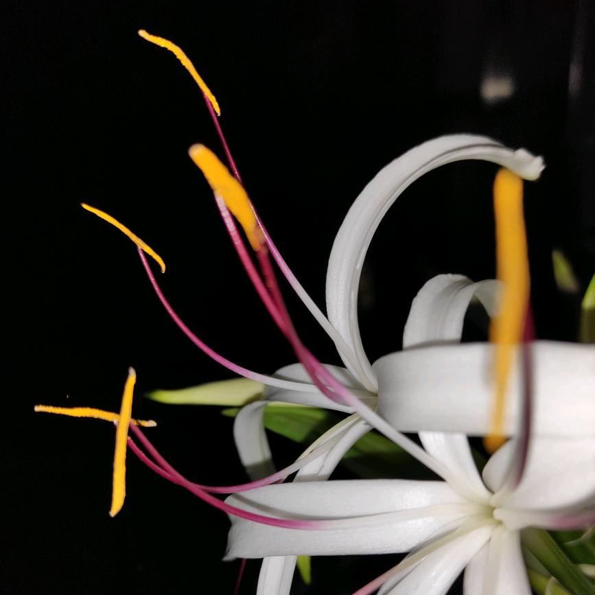 春暖花开