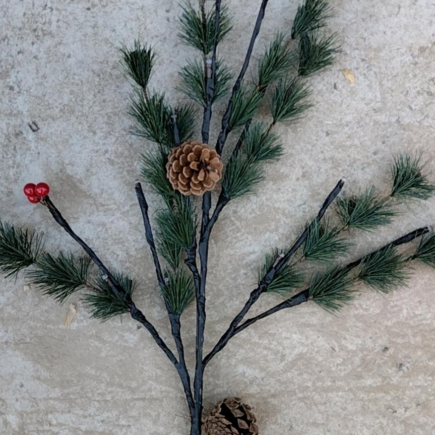 缘由天定份在人为