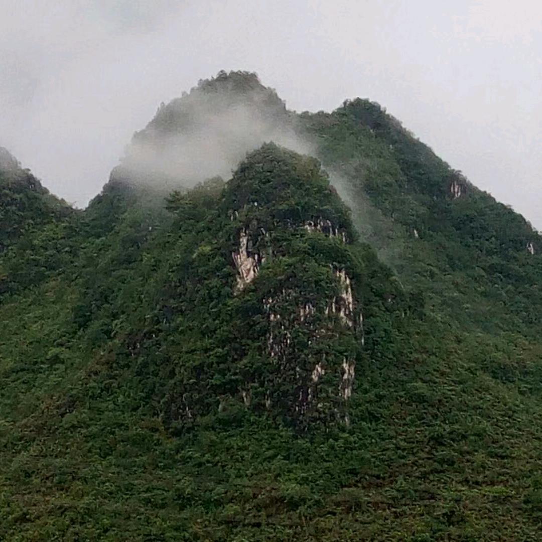 黑市