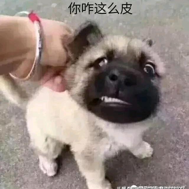 獨自行走在迷蒙的细雨中