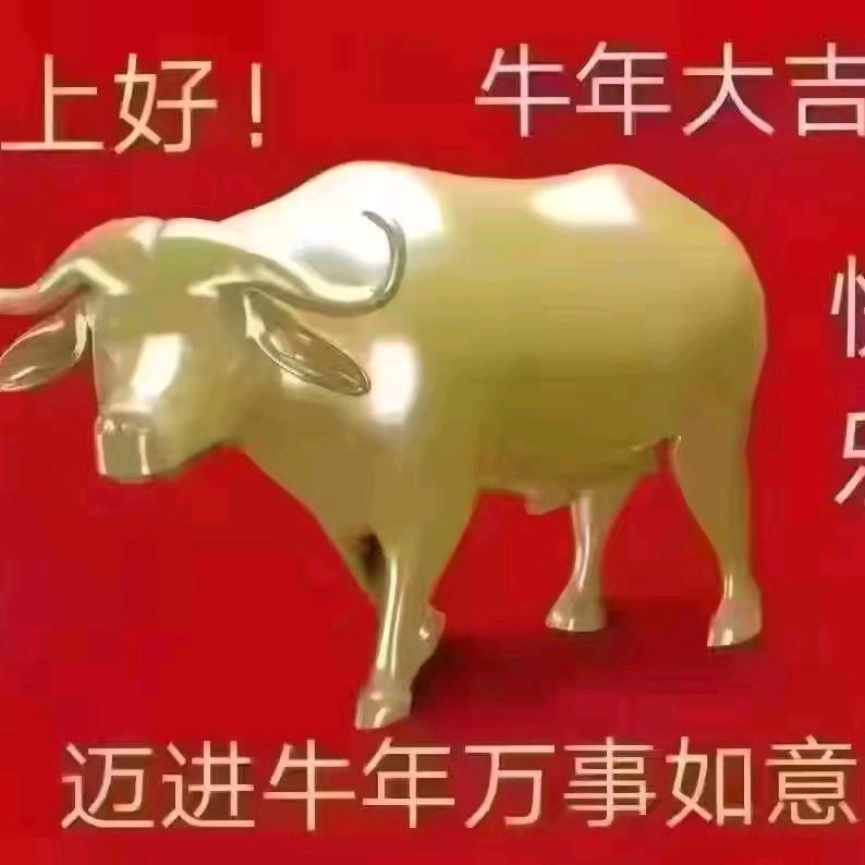 杨木匠