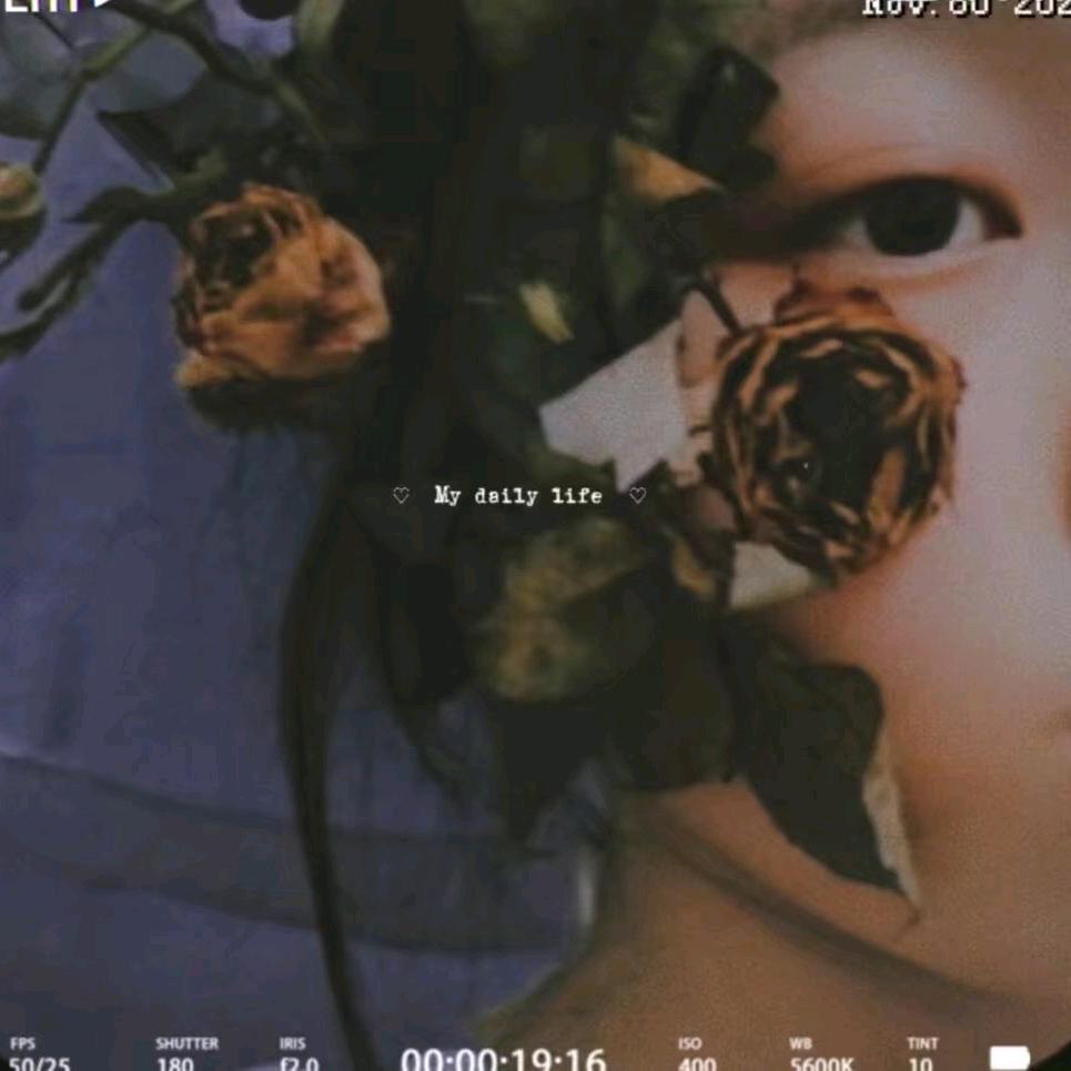 Wwhy苏浙皖