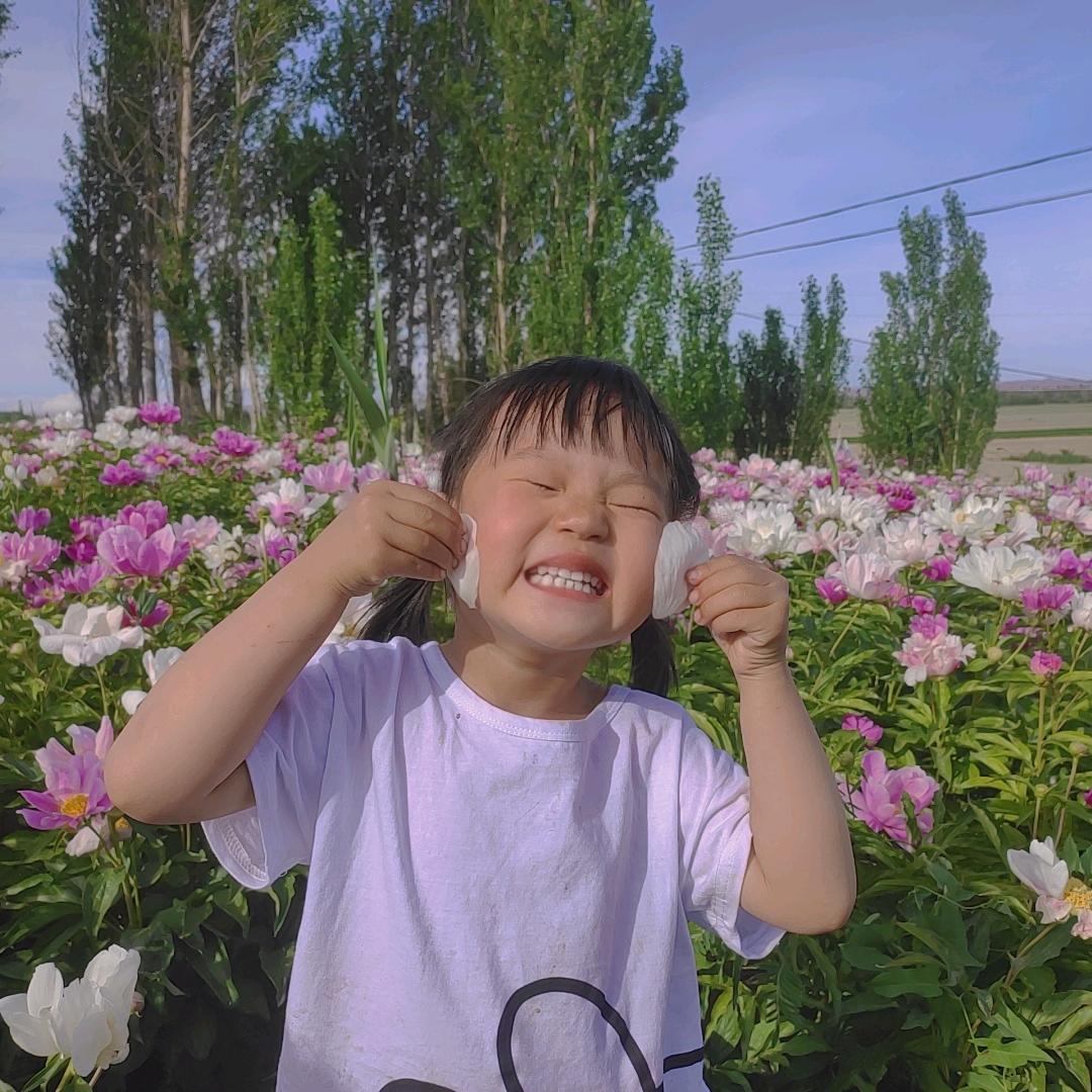 大梅豆