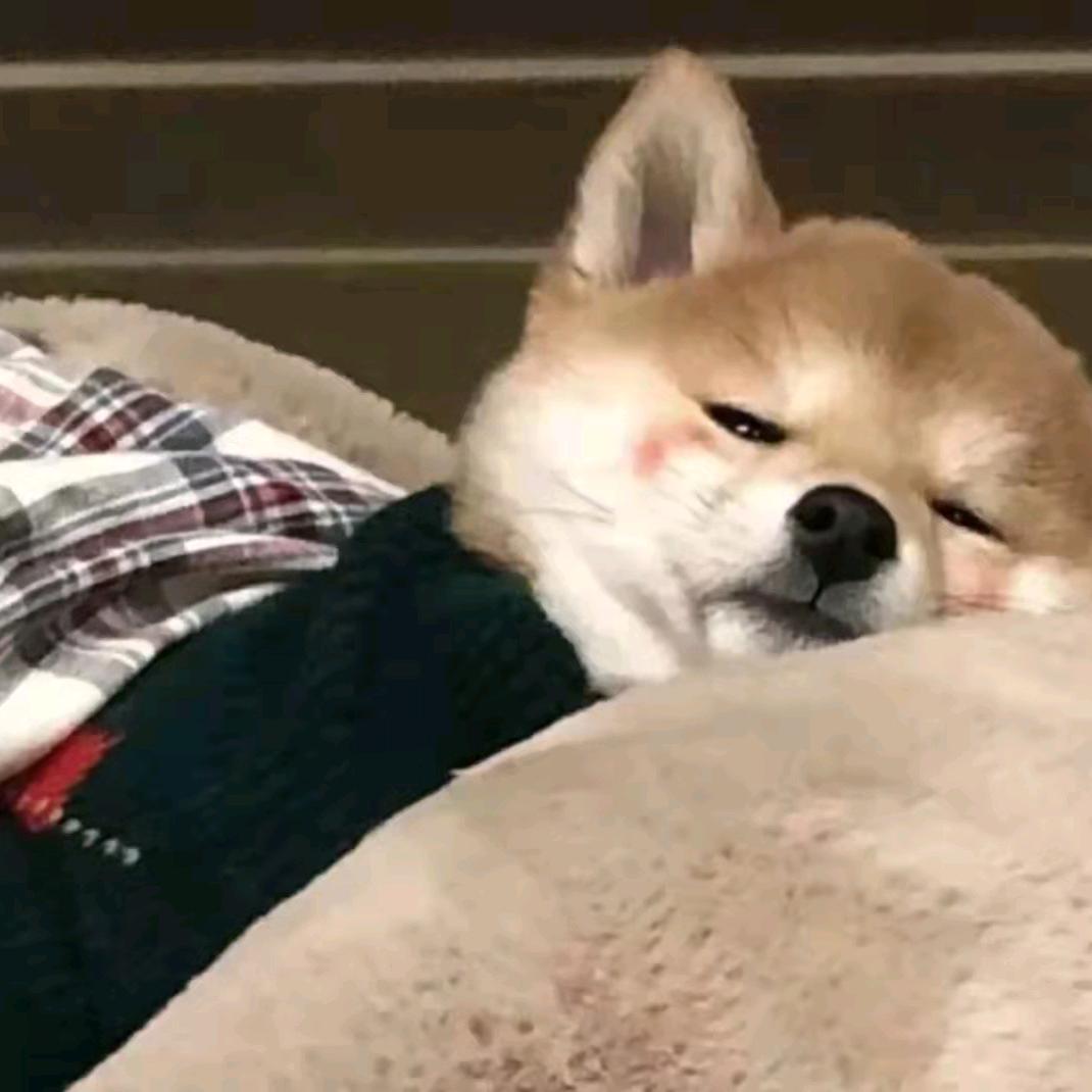 小雨
