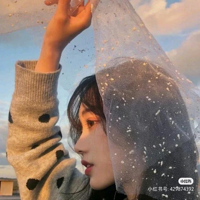 張貳蘂