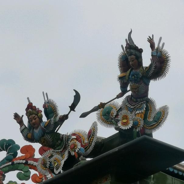 普宁南山白蚁防治