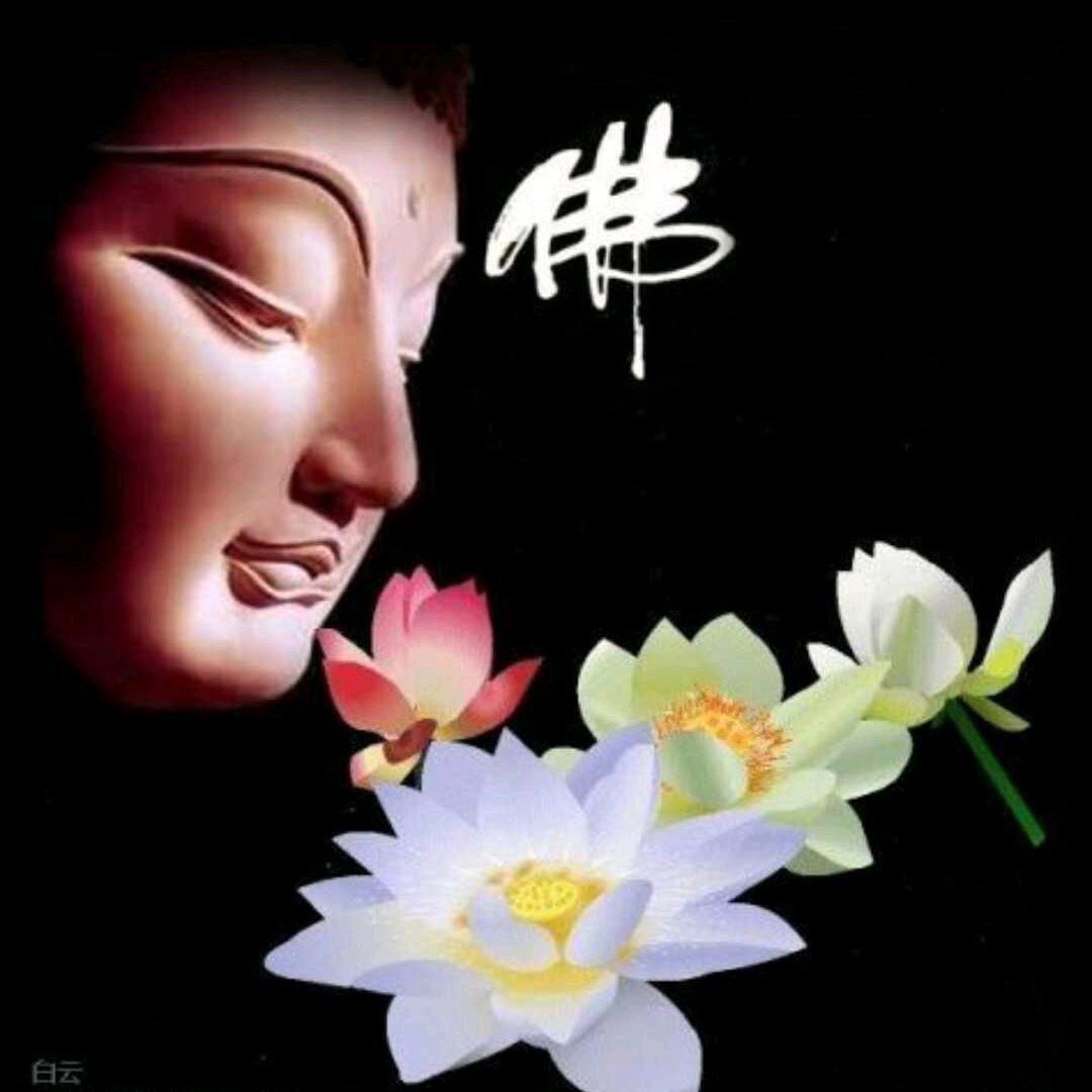 寵愛才配擁有💝，