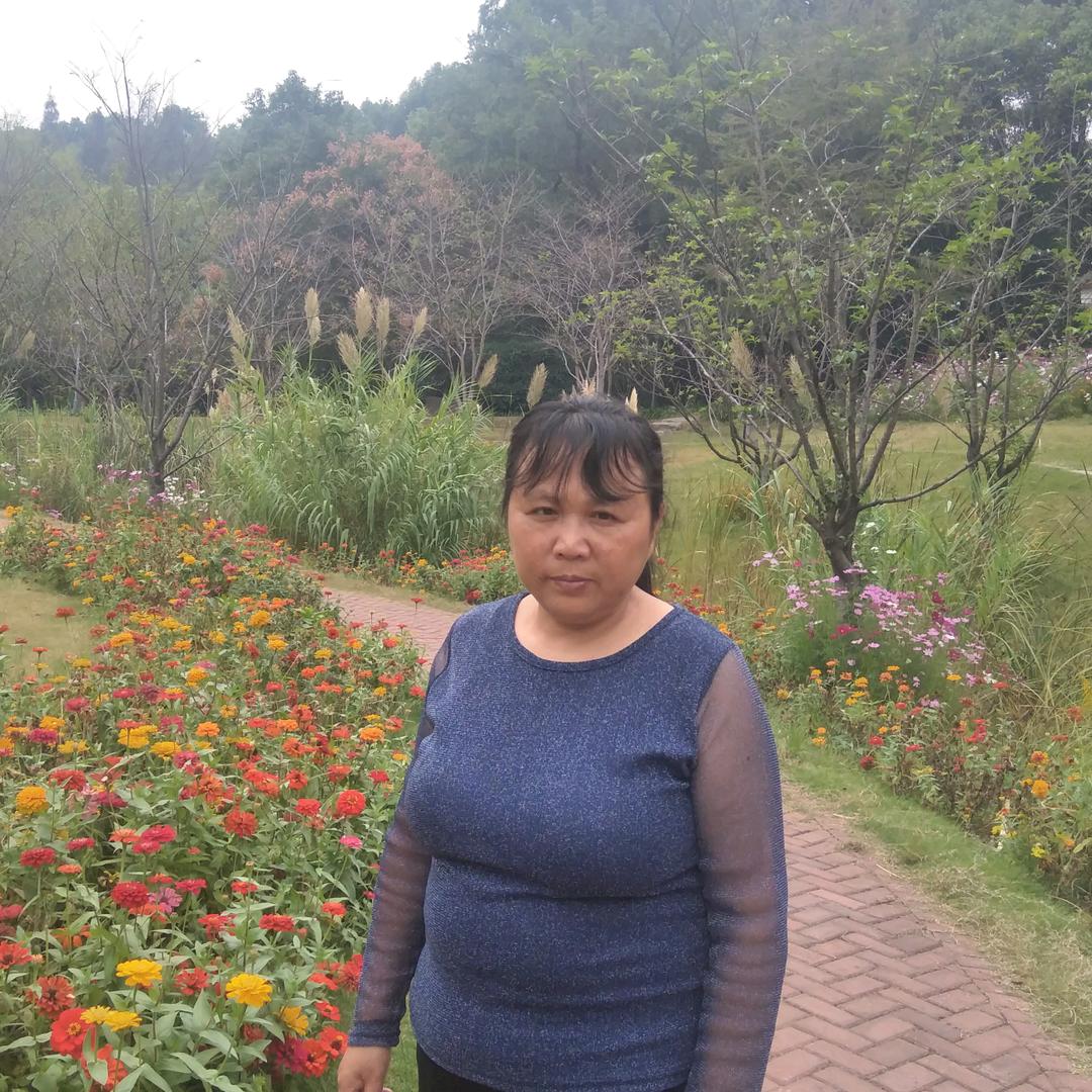 顺风顺水