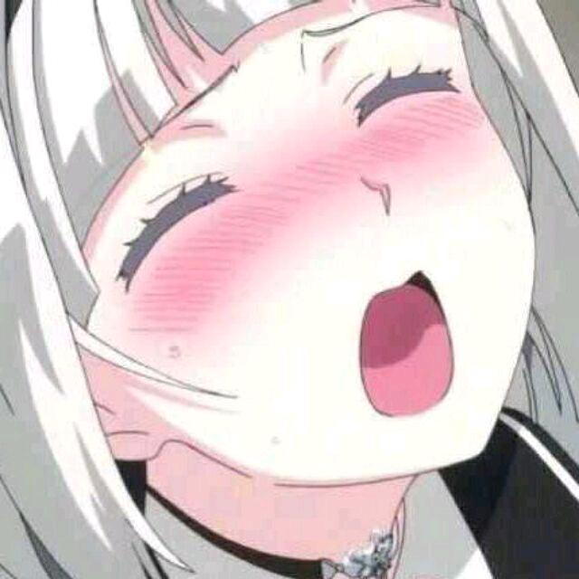 抱了个猪猪
